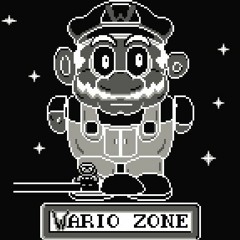 Wahr Maze | Super Mario Land 2 + Wario Land 4