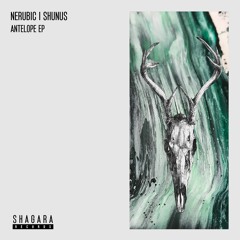 Nerubic, Shunus - Lotus Orb (Original Mix)