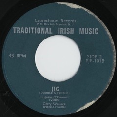 Bridges of Athlone/Saddle the Pony/no name (Double Jigs): Eugene O'Donnell and Gerry Wallace