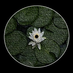 Lotus Land (free download)