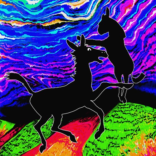 DeeplyDazzled/SteamAbacus - The Ritual Tap Dance of the Two Missing Donkeys (Stink mix) (2011)