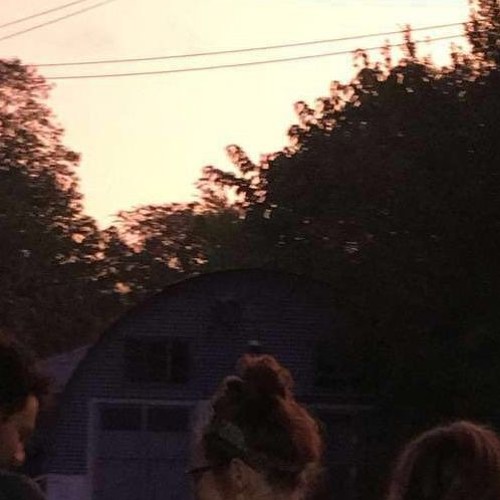 joji- i'll see you in 40 (ukulele loop)