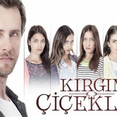 Kırgın Çicekler - Meral Kendir - Küçüğüm(M4A 128K)