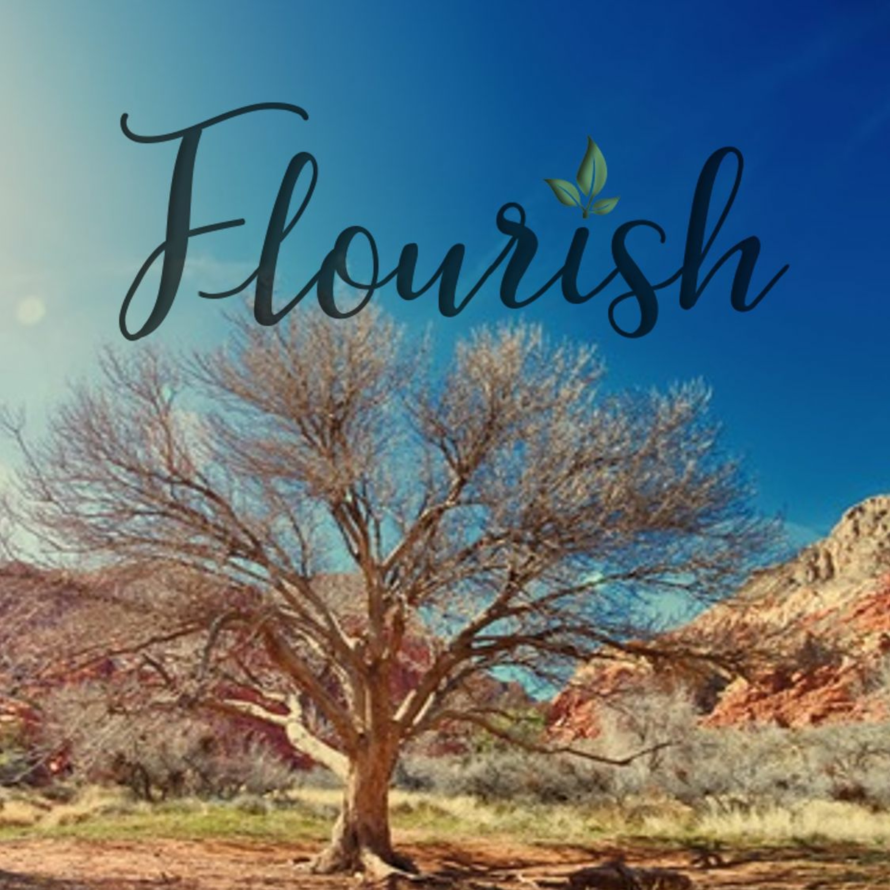 "Flourishing in Three Movements" by Erica Cox || September 23, 2018 episode artwork