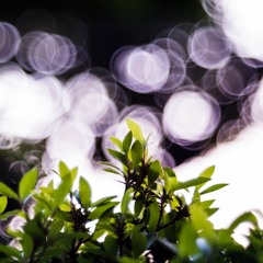 Yume Nikki FC01 BramblesMix