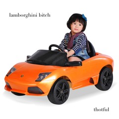 lamborghini bitch