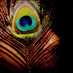 jungle interlude w neter2