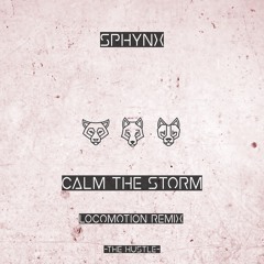 Paint It Black - Calm The Storm (LocoMotion Remix) ***Free Download***