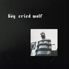 boy cried wolf (prod. by Dé Von & Alpha Runt)