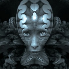 Mental Border (Preview)