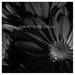 McAlvis - Harsh Tenderness