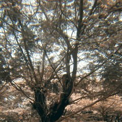 Remaja - Hivi! (Cover)