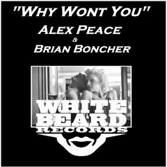 Why Won't You - Alex Peace & Brian Boncher - Whitebeard Records Chi OUT NOW