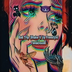 Bad Trip (Shake It Up Freestyle)