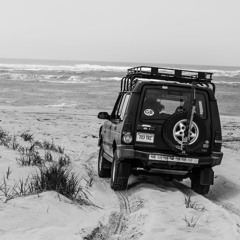 The Adventures of Bisco & Chovie