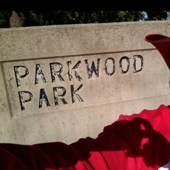 P🅰️RKW🅾️🅾️D P!RU 👌🏿💯👌🏿