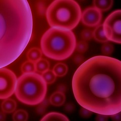 Drops of Stem Cells (2016/2017, for string orchestra)