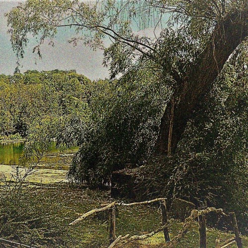 Refuge