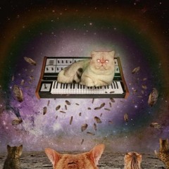 I Eat Bass in the early Morning (original Mix)