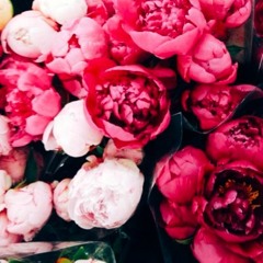 Raf Riley ft. Etta Bond - Summer [remix]