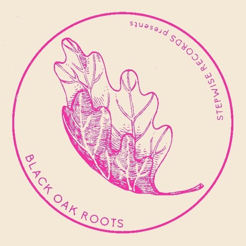 Black Oak Roots presents: Raw Dubs Vol. 2 | Basement Treasures