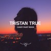 Post Malone Candy Paint Tristan True Remix Mp3
