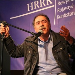Hekîm Sefqan - Hîn jî