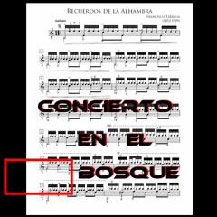 Concierto En El Bosque