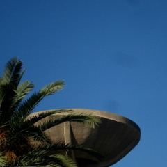 el comportamiento de las palmeras #2