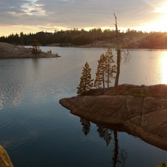 Riverman.  Nick Drake.