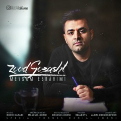میثم ابراهمی - زود گذشت
