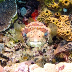 Grounded In Who You Are