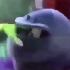 on bruh (Prod. Elephant Trunk)