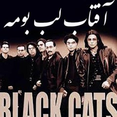 Black Cats - Aftab