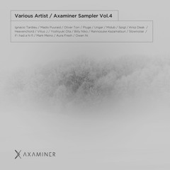 Various Artists - Axaminer Sampler vol.4