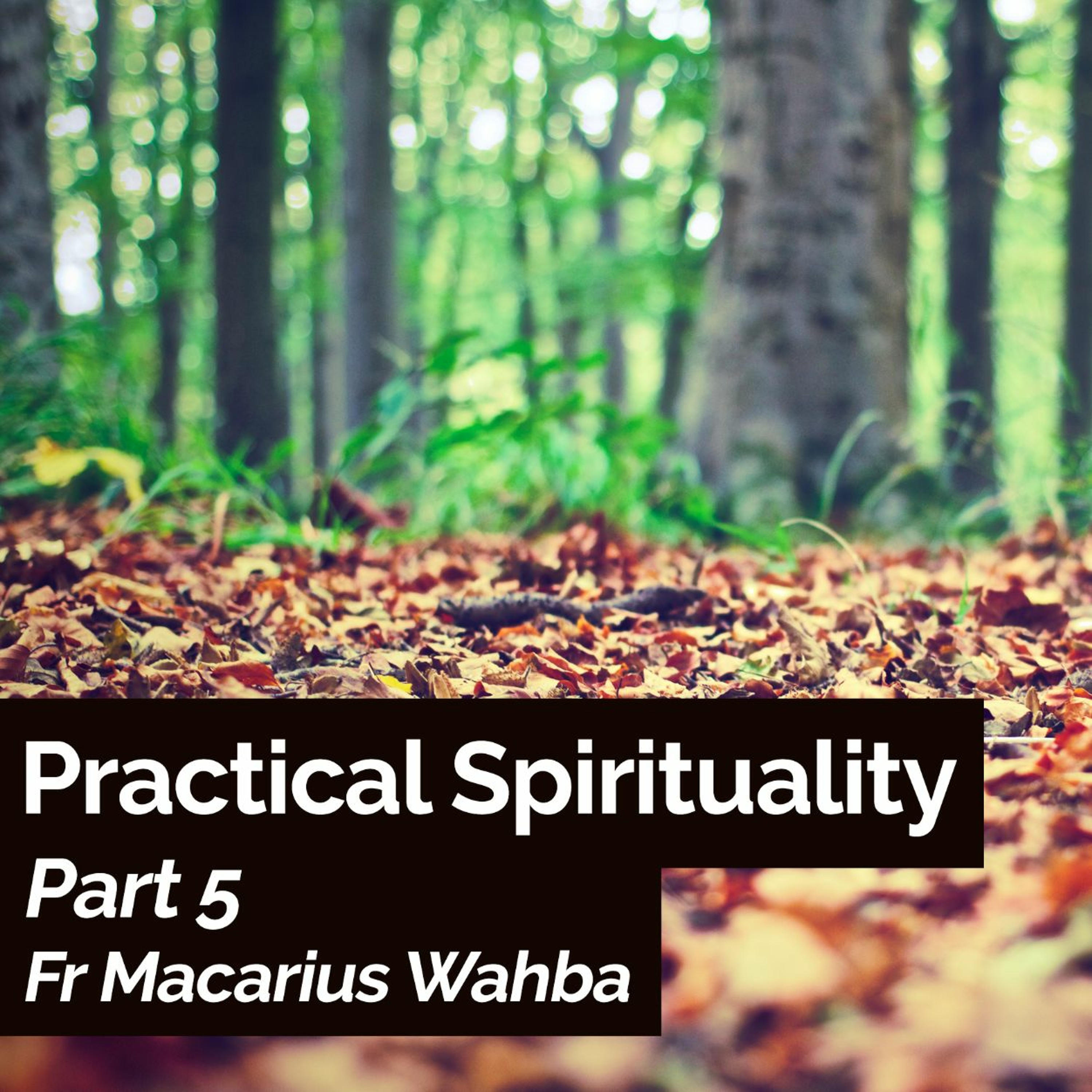 Practical Spirituality - Part 5 - Fr Macarius Wahba