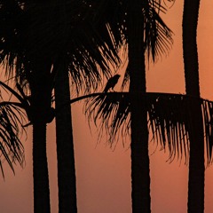 INDIO_INSTRUMENTAL_PRODBYNBARUCH