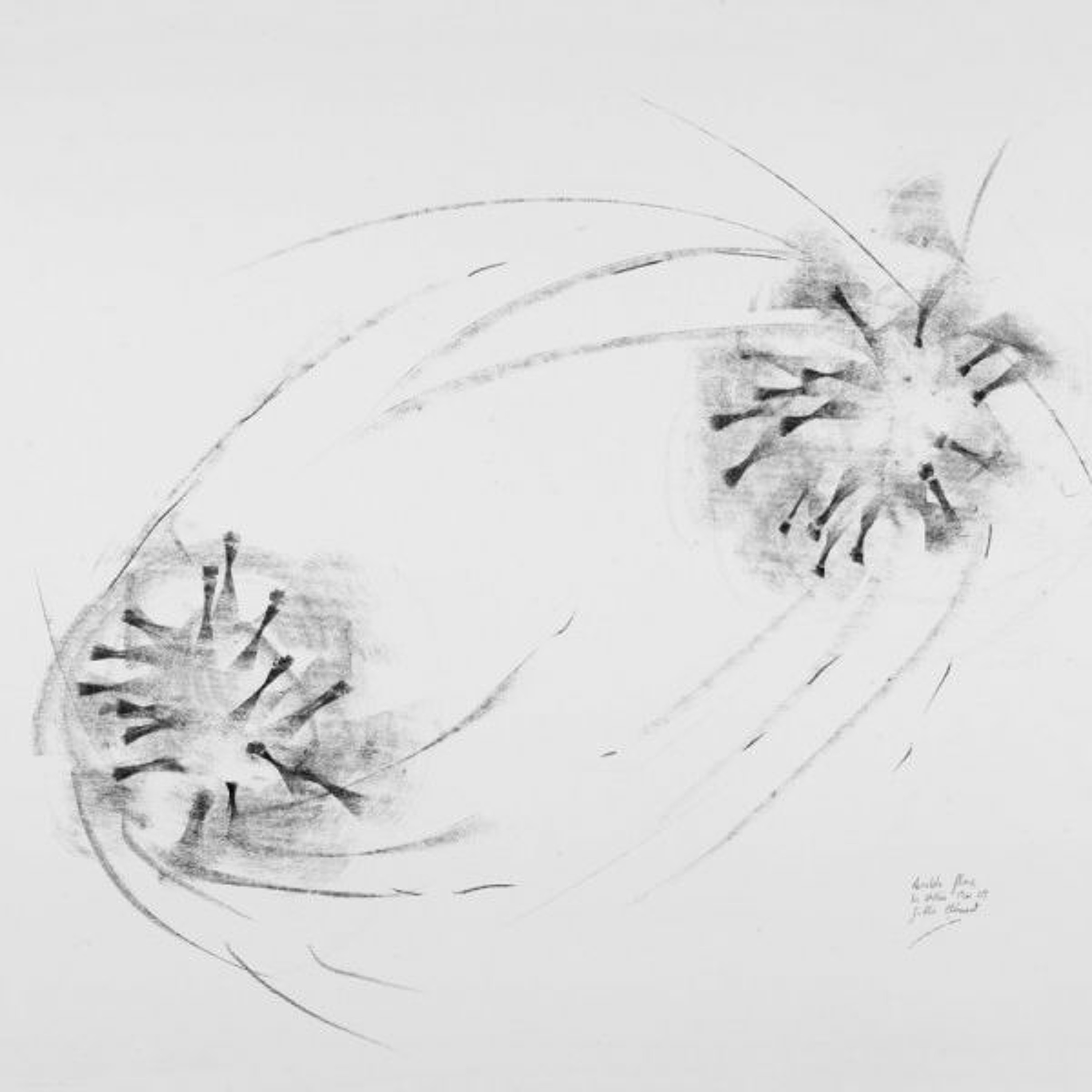 la vie manifeste