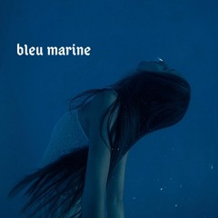 bleu marine
