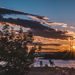 Från Munken till Littlö
