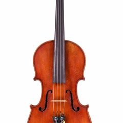 A104 / Fine violin by G. A. Chanot, Manchester 1902 - € 10,000
