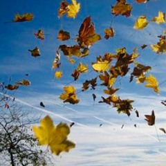 Autumn Wind (for percussions)