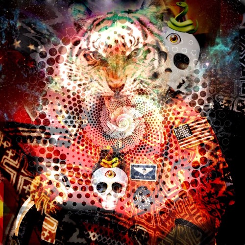 SPACE TiGER