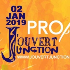 Jouvert Junction x DJ Chubby presents [ProFETEtional] Promo Mix
