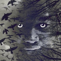 K9K - We’re dangerous