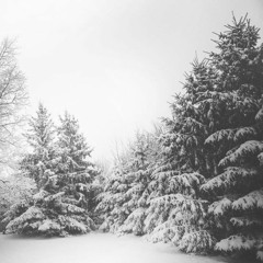A Very Lofi Holiday Season - Winter 2018