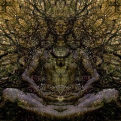 FUTURE SPECIES ॐ - PANGEA & RE-THINK TECHNO PRESENTS: ALCHEMY ॐ HALLOWEEN PARTY ॐ ((FOREST SET))