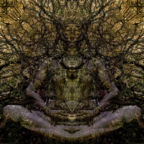 FUTURE SPECIES ॐ - PANGEA & RE-THINK TECHNO PRESENTS: ALCHEMY ॐ HALLOWEEN PARTY ॐ ((FOREST SET))