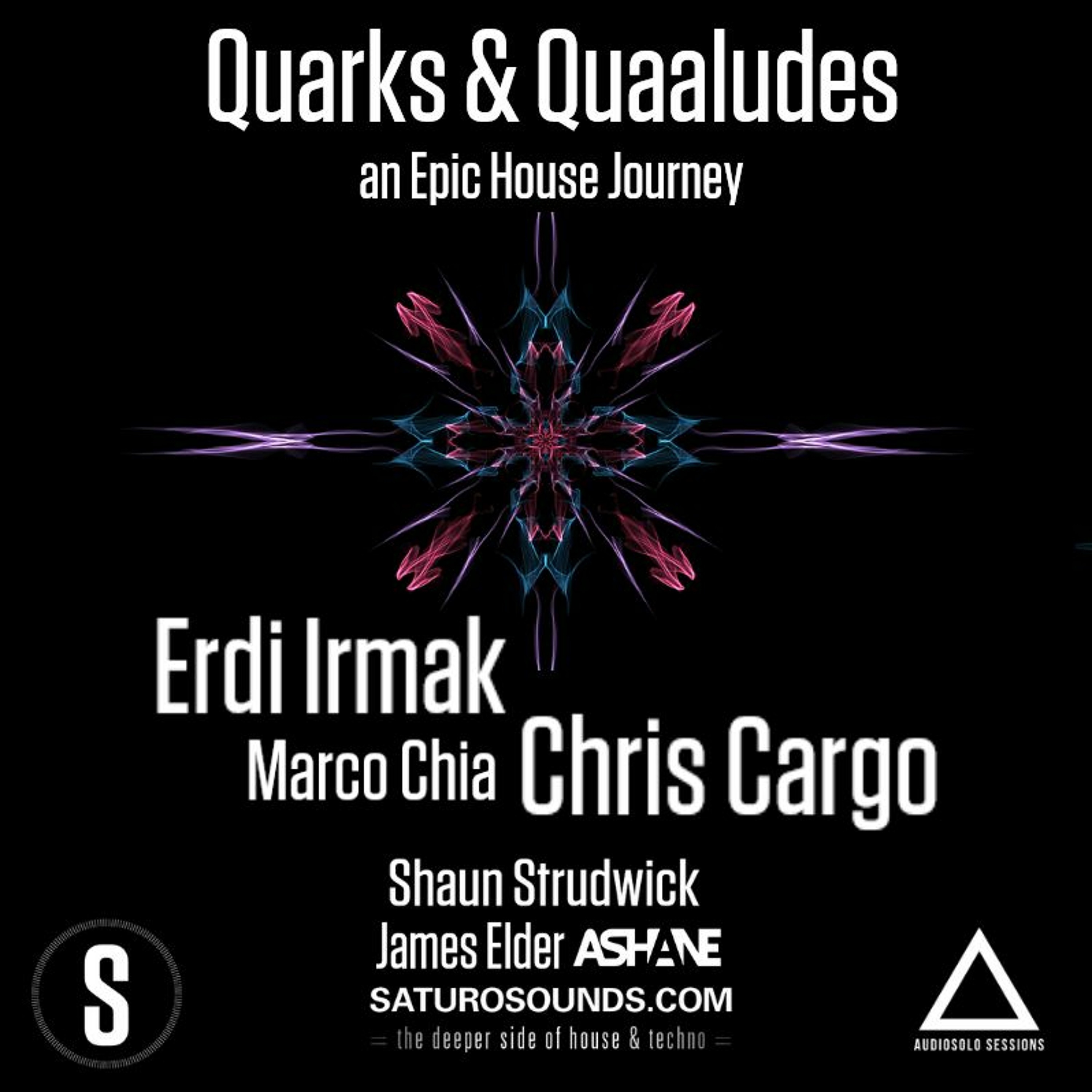 Quarks & Quaaludes #EpicHouseJourney