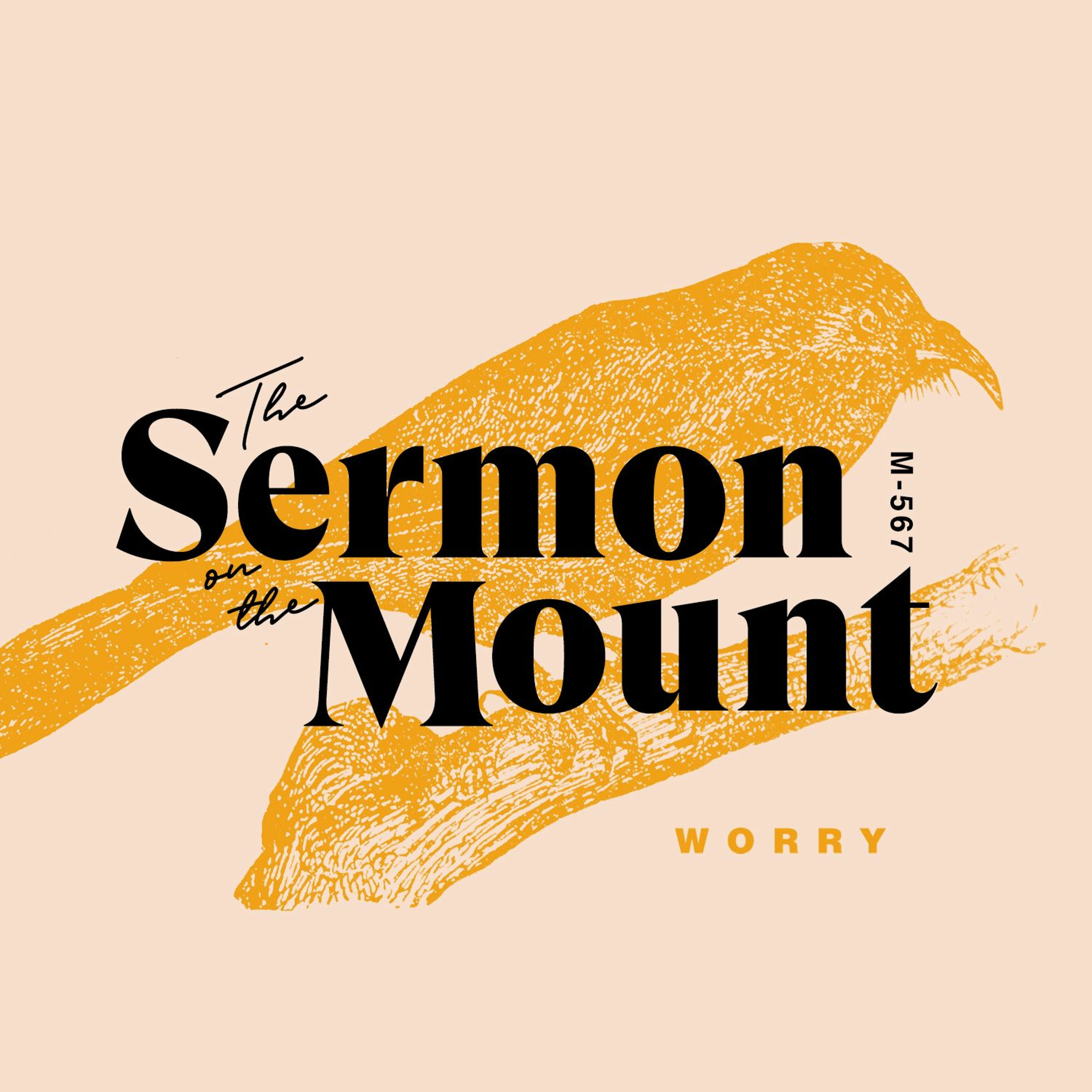 The Sermon On The Mount: Worry episode artwork